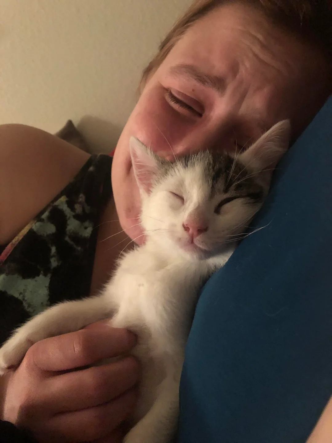 Adoptiertes Kätzchen mit seiner neuen Familie