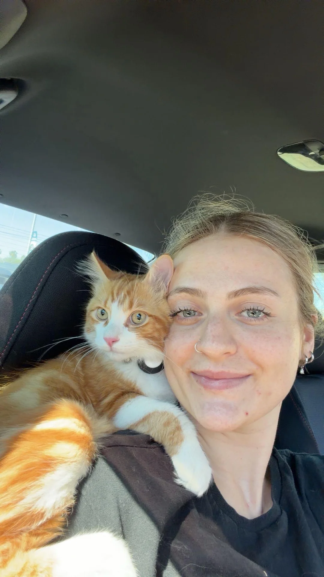 Adoptiertes Kätzchen mit seiner neuen Familie